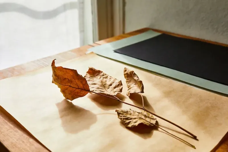 Raw Sweet Wormwood (Artemisia annua) material, editorial still life