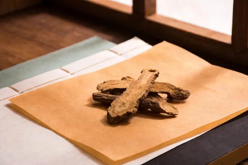 Raw Atractylodes (Atractylodes lancea) botanical material, editorial still life