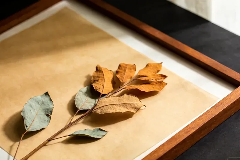 Raw Bamboo Leaves (Phyllostachys spp. (the leaves)) material, editorial still life