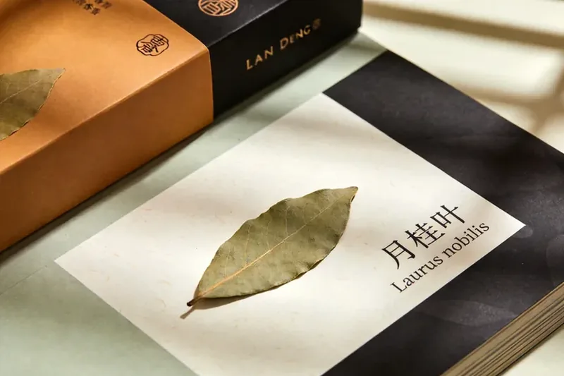 Raw Bay Leaf (Laurus nobilis) material, editorial still life