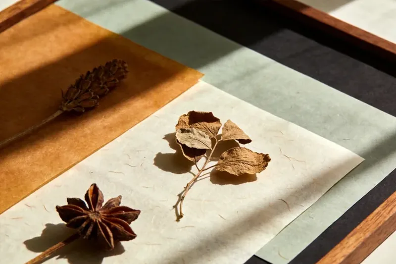 Raw Beeswax (Apis cerana & A. mellifera (bee product) — beeswax) material, editorial still life