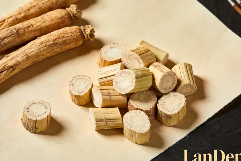 Cut dried calamus rhizome pieces on warm rice paper.