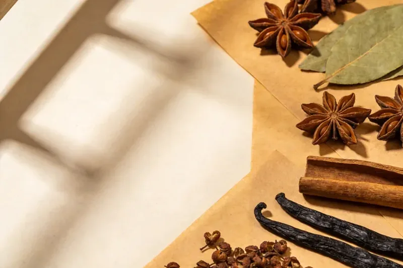 Raw Cardamom (Amomum kravanh (white/round cardamom)) botanical material, editorial still life