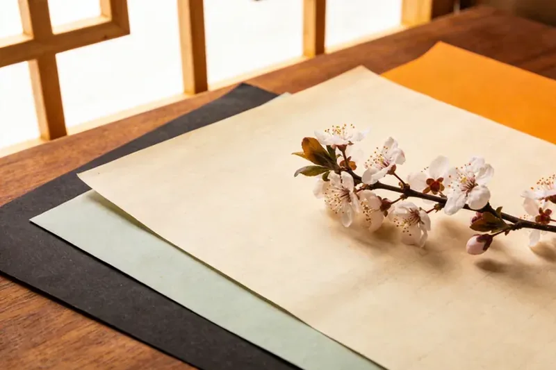 Raw Chamomile (Matricaria chamomilla) flower material, editorial still life