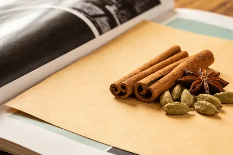 Raw Fennel (Foeniculum vulgare) botanical material, editorial still life