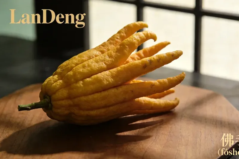 Raw Finger Citron (Citrus medica var. sarcodactylis) material, editorial still life