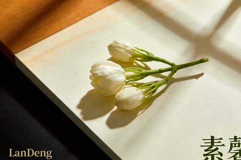 Raw Spanish Jasmine (Jasminum grandiflorum) material, editorial still life
