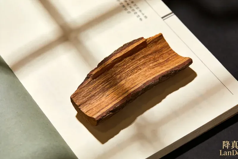 Raw Jiangzhenxiang (Acronychia pedunculata (classical); cf. Dalbergia odorifera (modern conflation)) botanical material, editorial still life