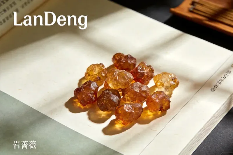 Raw Labdanum (Cistus ladanifer (gum rockrose)) material, editorial still life