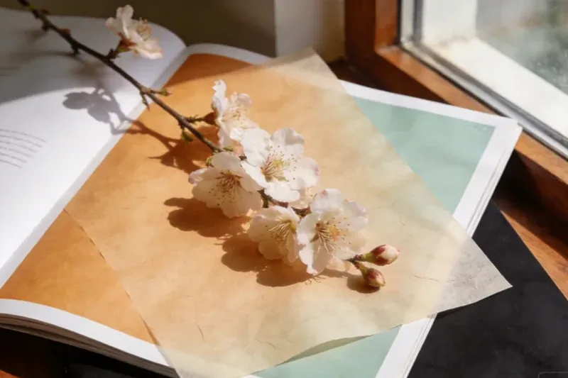 Raw Lavender (Lavandula angustifolia) material, editorial still life