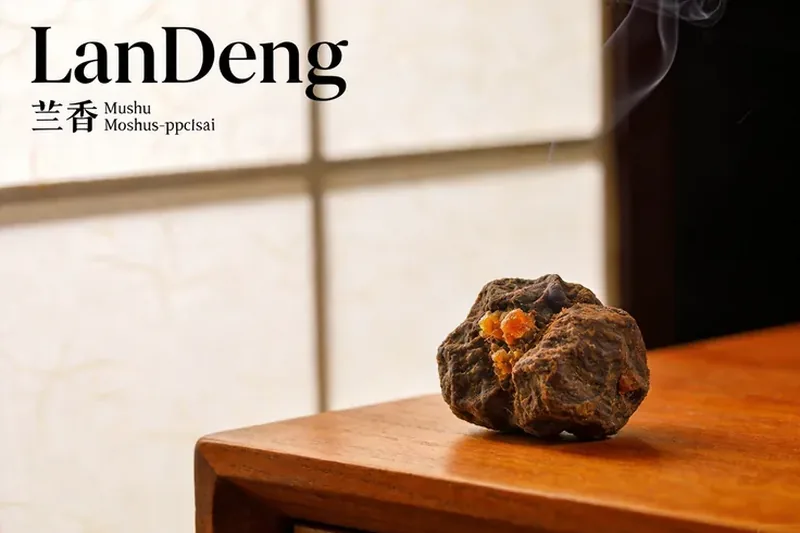 Raw Musk (Moschus spp. (musk deer) — an animal secretion, not botanical) material, editorial still life