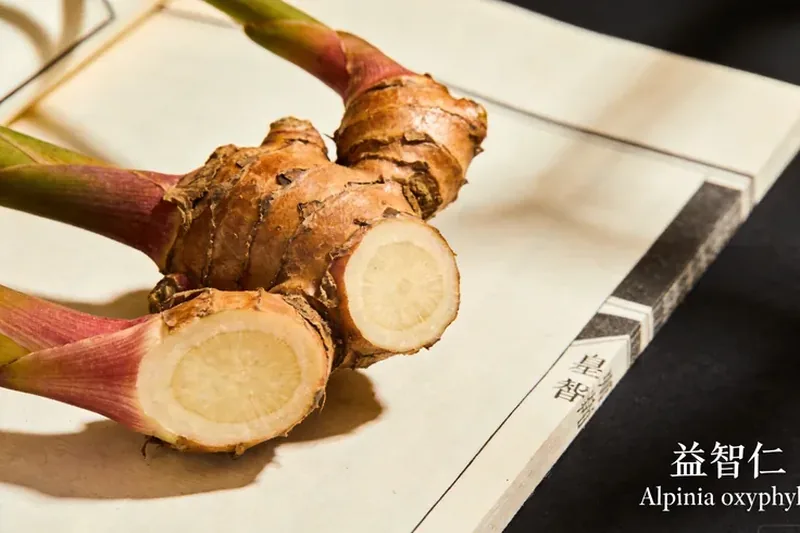 Raw Sharp-Leaf Galangal (Alpinia oxyphylla) material, editorial still life
