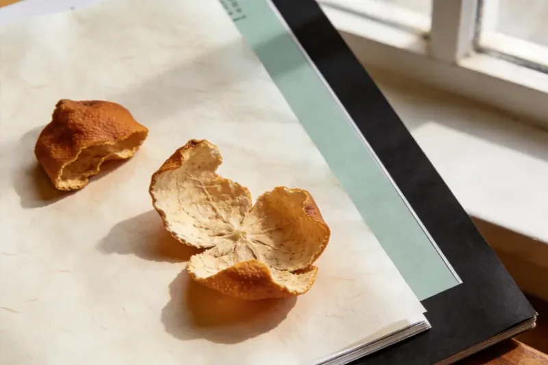 Raw Pomelo Peel (Citrus maxima (pomelo peel)) material, editorial still life