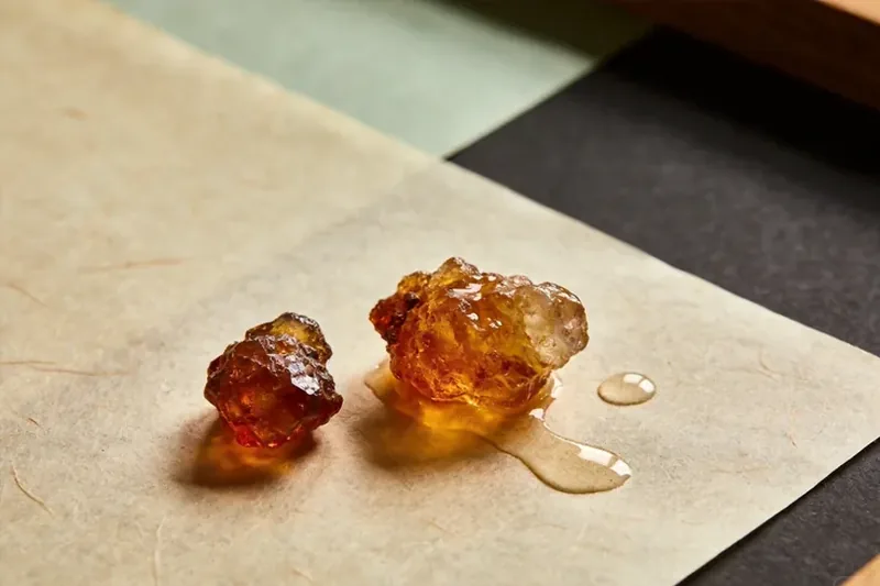 Warm brown sweetgum resin lumps on a stone dish.