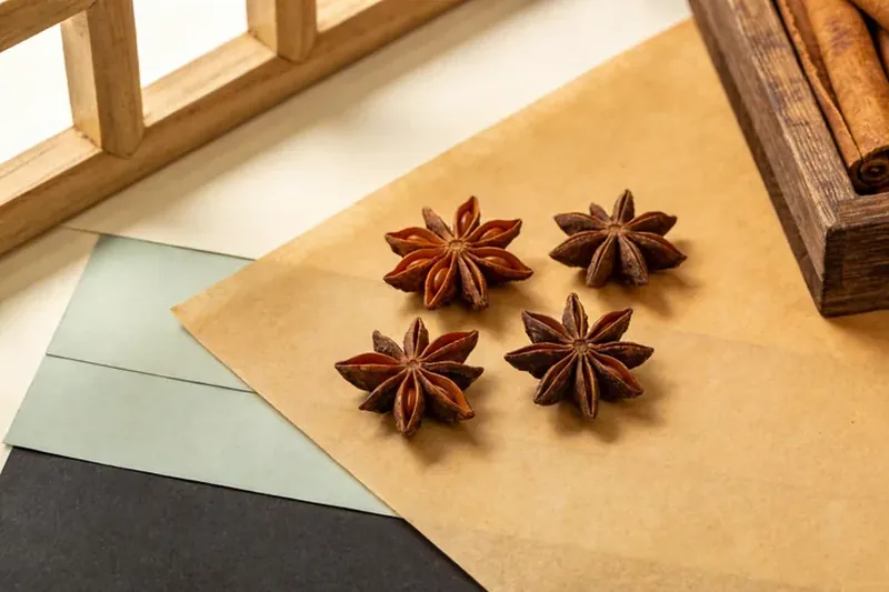 Raw Tsaoko (Amomum tsao-ko (FOC: Amomum tsaoko; syn. Lanxangia tsao-ko)) material, editorial still life