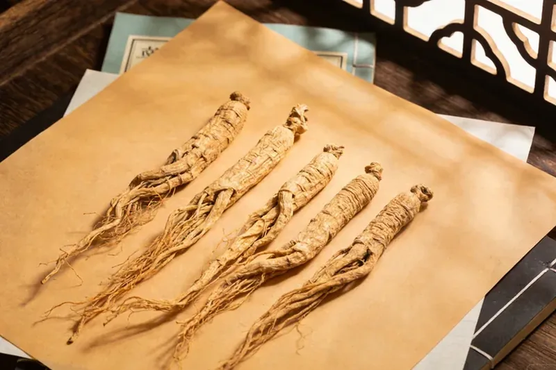 Raw Turmeric (Curcuma longa) material, editorial still life