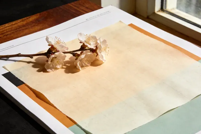 Raw Wintersweet (Chimonanthus praecox) material, editorial still life